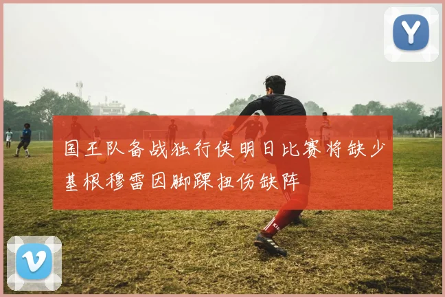 国王队备战独行侠明日比赛将缺少基根穆雷因脚踝扭伤缺阵