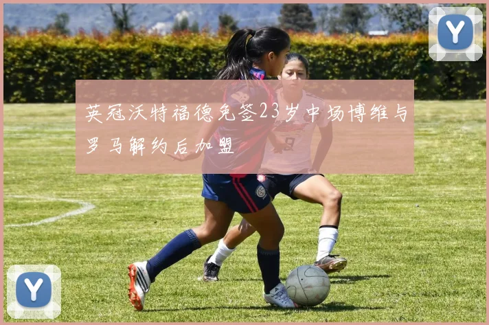 英冠沃特福德免签23岁中场博维与罗马解约后加盟