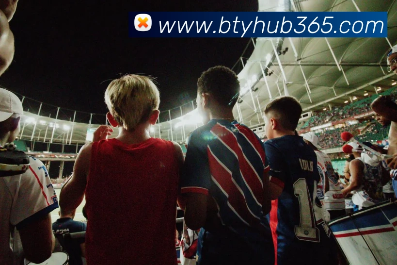 B体育平台生态图